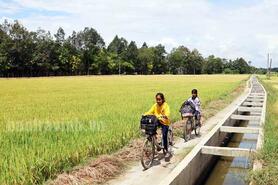 Chung tay bảo vệ nguồn nước ngầm trong sử dụng sản xuất nông nghiệp