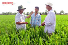 Hiệu quả công tác khuyến nông