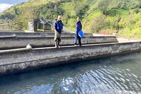 Thúc đẩy phát triển chăn nuôi, nuôi trồng thủy sản bền vững