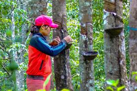 Đêm “sáng” ở vùng cao La Dạ
