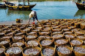 “Hương vị” biển mùa gió Tây Nam