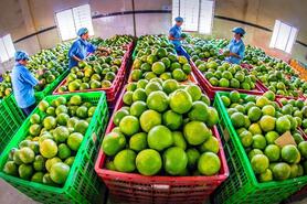 Tập trung thực hiện các nhiệm vụ trọng tâm về nông nghiệp và môi trường