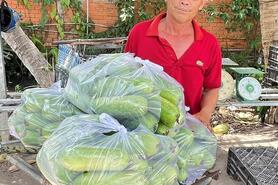 Năng động kết nối, tiêu thụ nông sản 