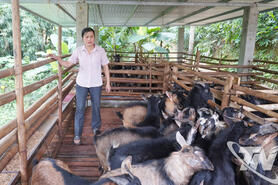 Khát vọng thoát nghèo ở Yên Phong