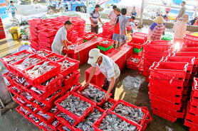 Đồng bộ giải pháp, quyết tâm gỡ “thẻ vàng” IUU