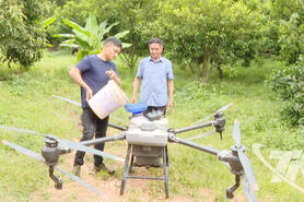 Làm giàu từ rừng ở Văn Hán