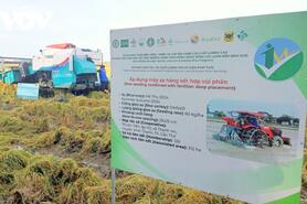 Công bố quy trình giảm phát thải khí nhà kính trong sản xuất lúa ở ĐBSCL