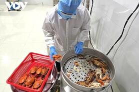 Ngành cua có tiềm năng lớn - Cà Mau có lợi thế dẫn đầu