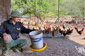 Nguồn vốn chính sách thúc đẩy sản xuất