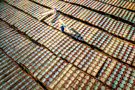 Khai thác tiềm năng, phát triển sản phẩm làng nghề