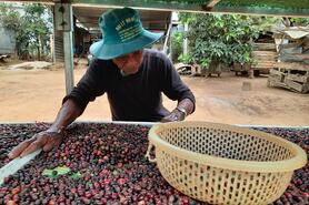 Hợp lực để phát triển