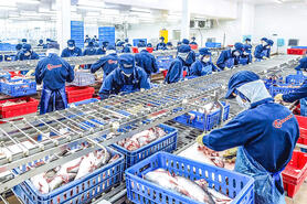 Tập trung phát triển ngành công nghiệp chế biến