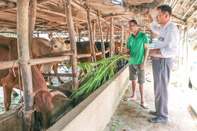 Nông dân Long Hiệp học và làm theo Bác góp phần xây dựng quê hương