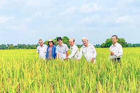 Hợp tác xã tiếp sức xây dựng nông thôn mới