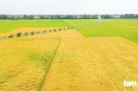 Nông dân vùng ĐBSCL cần làm nông nghiệp theo cách mới