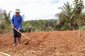 Sau lũ, nông dân chọn “đi chậm” vì chất lượng nông sản
