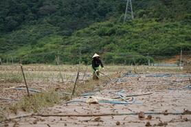 Không để thiên tai làm đứt gãy sinh kế nông dân