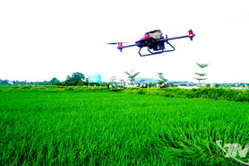 Chuyển đổi số mở hướng phát triển nông nghiệp bền vững