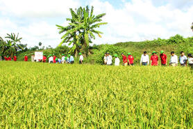 Đổi mới, nâng cao hiệu quả hoạt động khuyến nông