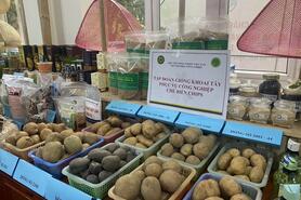 Đưa nông sản 'bay xa' bằng con đường ngoại giao