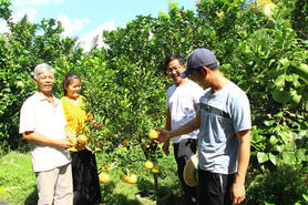 Đẩy mạnh phát triển kinh tế nông thôn