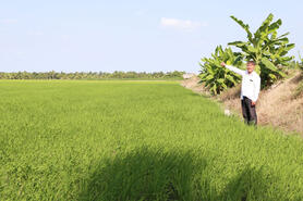 Hợp tác xã Nông nghiệp Rạch Lọp phát huy hiệu quả hỗ trợ nông dân