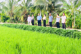 Đòn bẩy phát triển kinh tế, xã hội ở Châu Thành