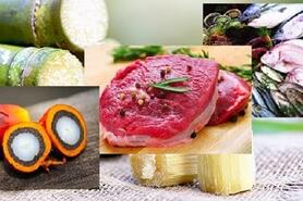 Thị trường thực phẩm tháng 10/2025: Giá dầu cọ biến động, cá tra tăng mạnh tại Brazil