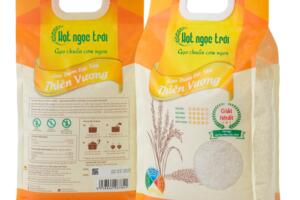 Lộc Trời 28 được vinh danh “Gạo ngon nhất Việt Nam”