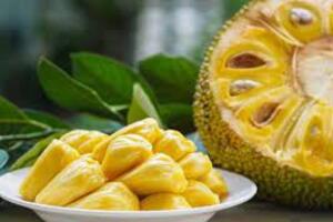 Việt Nam thúc đẩy xuất khẩu mít đông lạnh vào Australia