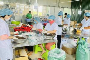 Hợp tác xã chủ động liên kết theo chuỗi giá trị
