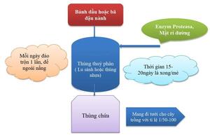 Sản xuất phân bón hữu cơ vi sinh từ phụ phẩm cá bằng enzyme