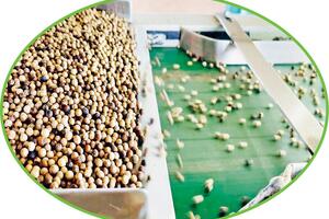 Kỹ sư đầu tiên ở Việt Nam sáng chế máy tách màu nông sản
