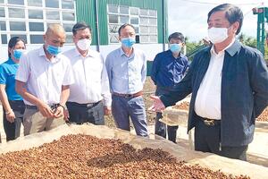 Nâng tầm giá trị nông sản địa phương