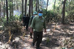 Gác rừng xuyên Tết