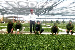 Để hương trà vươn xa