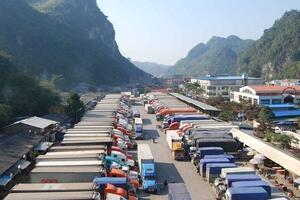 Tạm dừng tiếp nhận phương tiện chở hoa quả tươi đến cửa khẩu đường bộ tỉnh Lạng Sơn