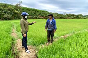 Chư Prông hỗ trợ nông dân sản xuất bền vững