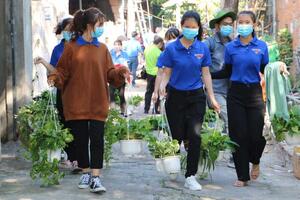 Tháng Thanh niên: Áo xanh 'phủ sóng' khắp mọi nơi