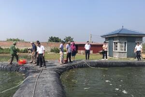 Hiệu quả từ mô hình nuôi cá rô phi ứng dụng công nghệ biofloc