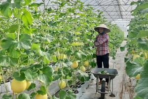 Yên Bái triển khai 7 nhóm nội dung tuyên truyền về sản xuất, kinh doanh thực phẩm an toàn