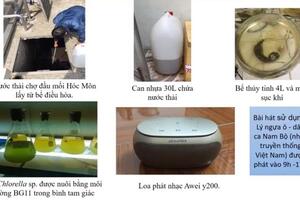 Sinh viên nuôi tảo xử lý nước thải