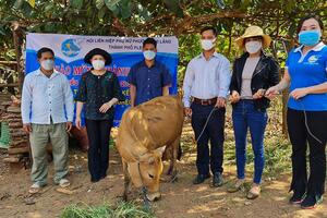 Pleiku: Tặng sổ tiết kiệm và bò giống cho hội viên hội phụ nữ khó khăn