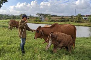 Thanh niên Đak Pơ liên kết phát triển kinh tế