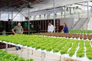 Chuyển biến trong 20 năm kinh tế tập thể ở Lâm Đồng