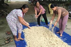 Ủ thức ăn chăn nuôi bằng men vi sinh