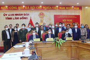 Hiệu quả phối hợp 3 bên
