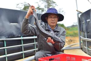 Xử lý nguồn nước sạch trong nuôi cá tầm công nghệ cao