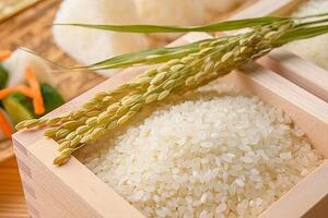 Giá lúa gạo hôm nay 31/3: Giá lúa gạo giảm, phụ phẩm tăng