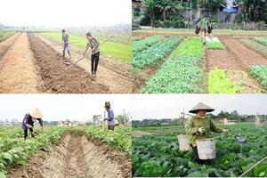 Đạ Huoai: Khuyến cáo các biện pháp phòng, trừ sâu bệnh trên cây trồng